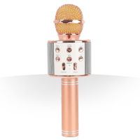 فروش ویژه میکروفن اسپیکر چندکاره WS-858