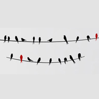 فروش ویژه استیکر طرح شاخه و پرنده