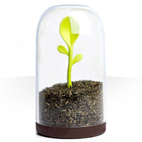 فروش ویژه ظرف نگهدارنده چای و قهوه Scoop Jar