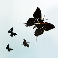 فروش ویژه ساعت دیواری طرح پروانه نگینی