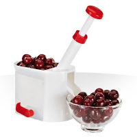 فروش ویژه هسته گیر آلبالو مدل Helferhoff